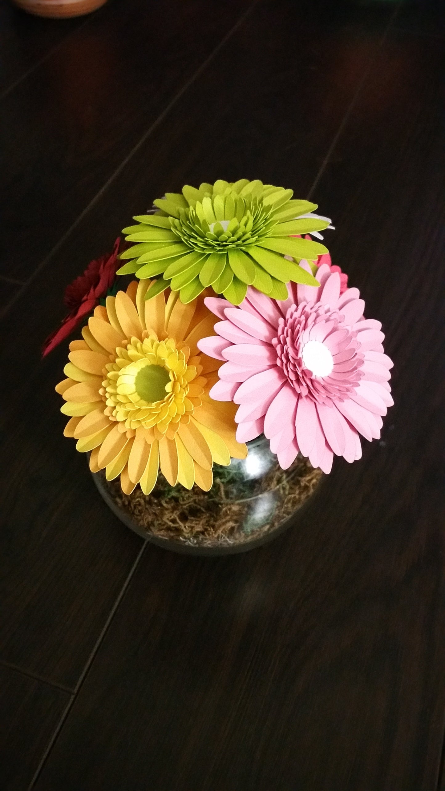 Daisy Flower-5 colors