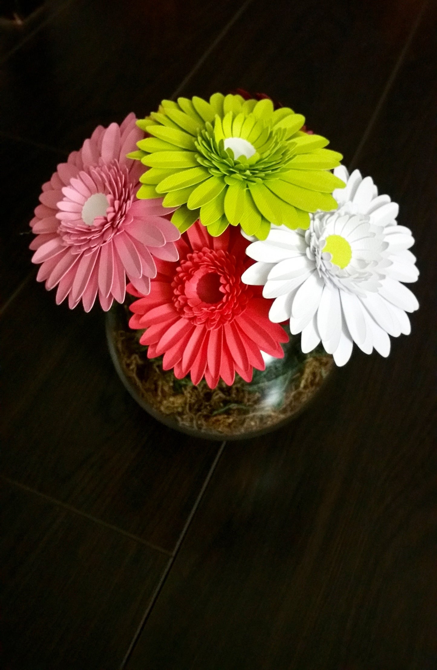 Daisy Flower-5 colors