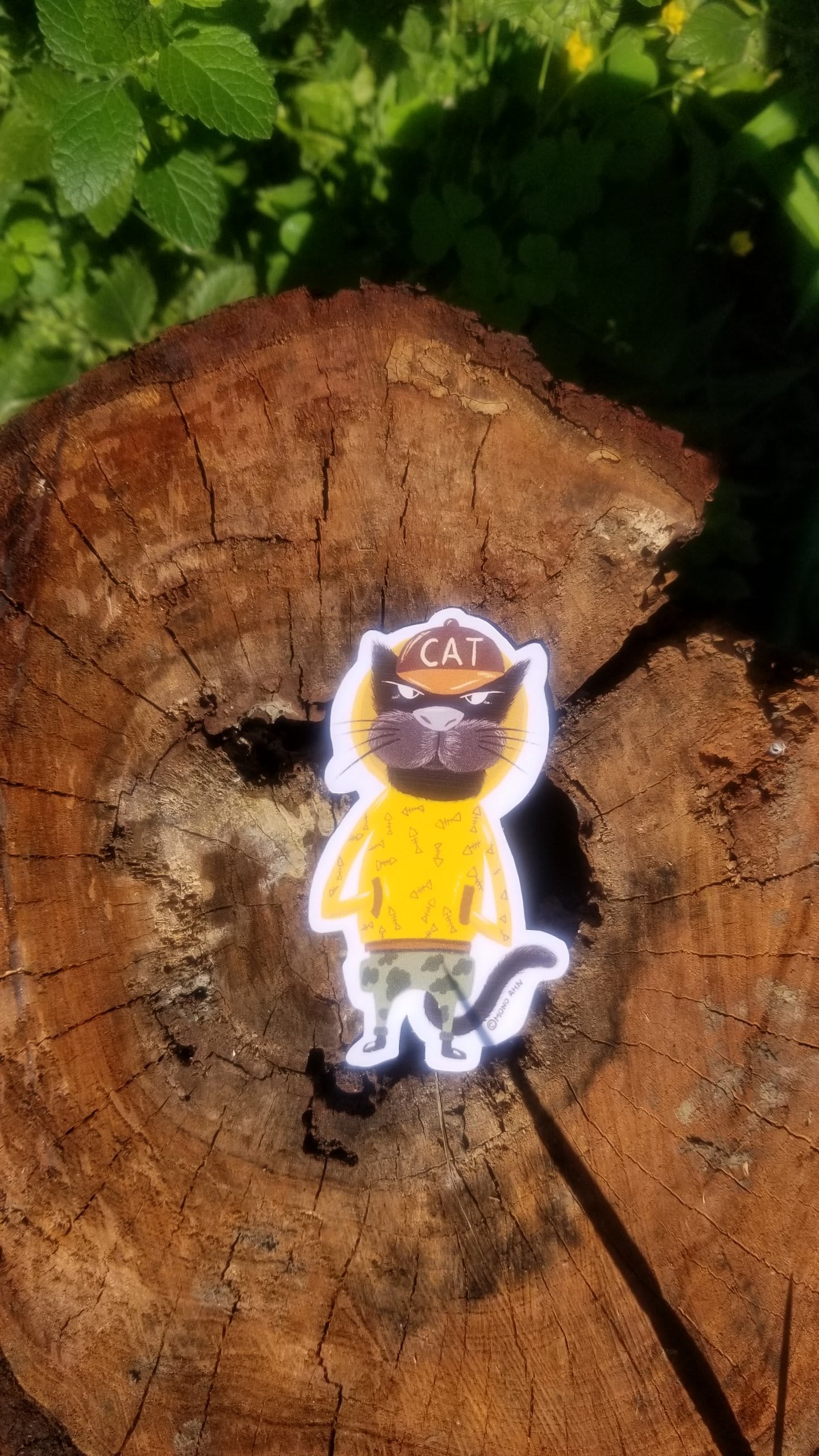 Cat Lover_Vinyl sticker pack