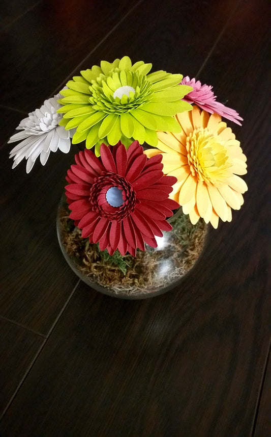 Daisy Flower-5 colors