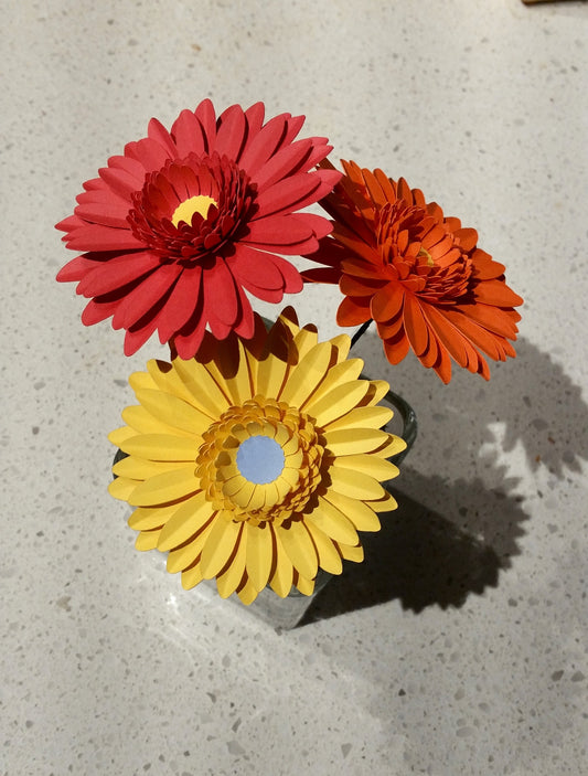 Daisy Flower-3 colors